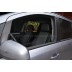 Авточехлы Автопилот для Opel Zafira B в Астрахани